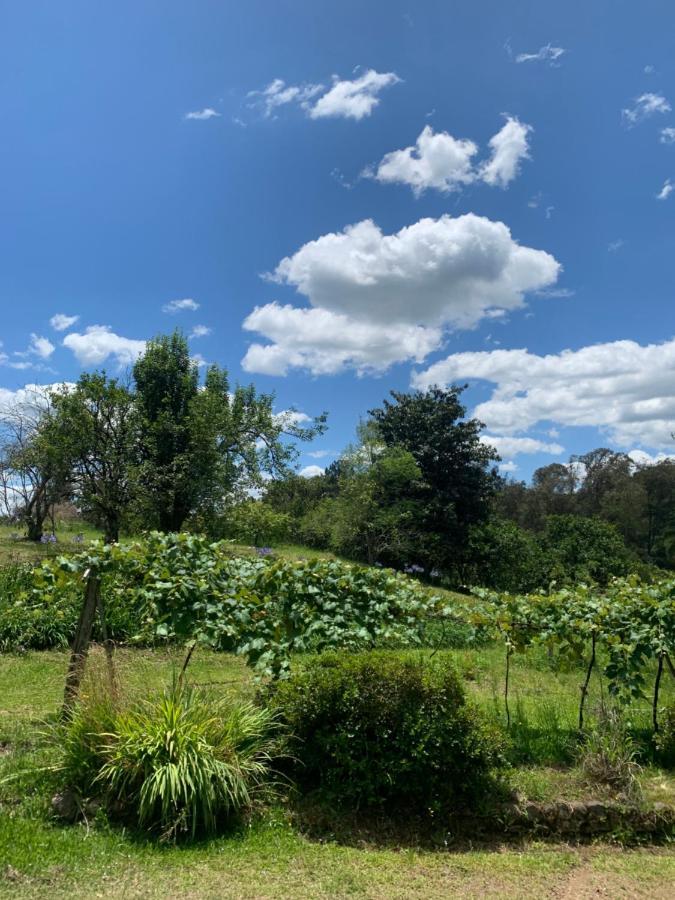 Sitio Vale Dos Vinhedos Villa Bento Gonçalves Eksteriør bilde