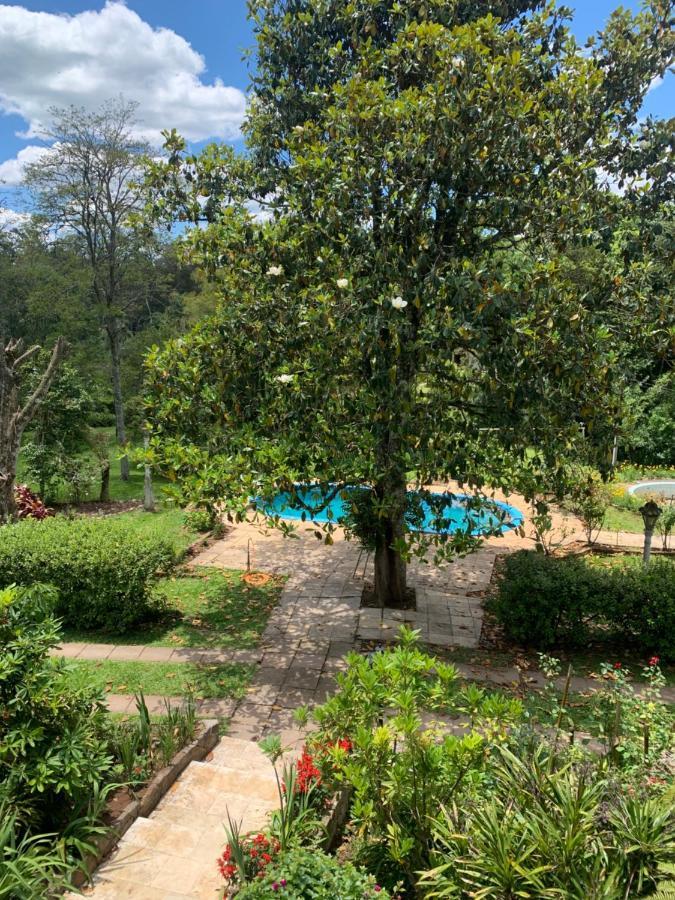 Sitio Vale Dos Vinhedos Villa Bento Gonçalves Eksteriør bilde